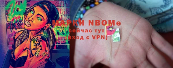 бошки Белокуриха